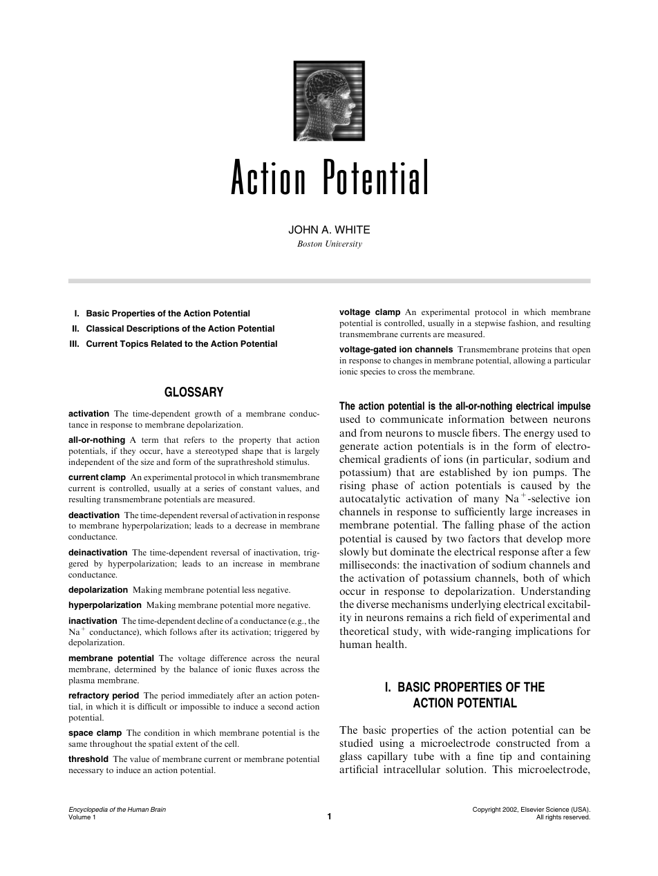 Academic Press Encyclopedia of the Human Brain cover