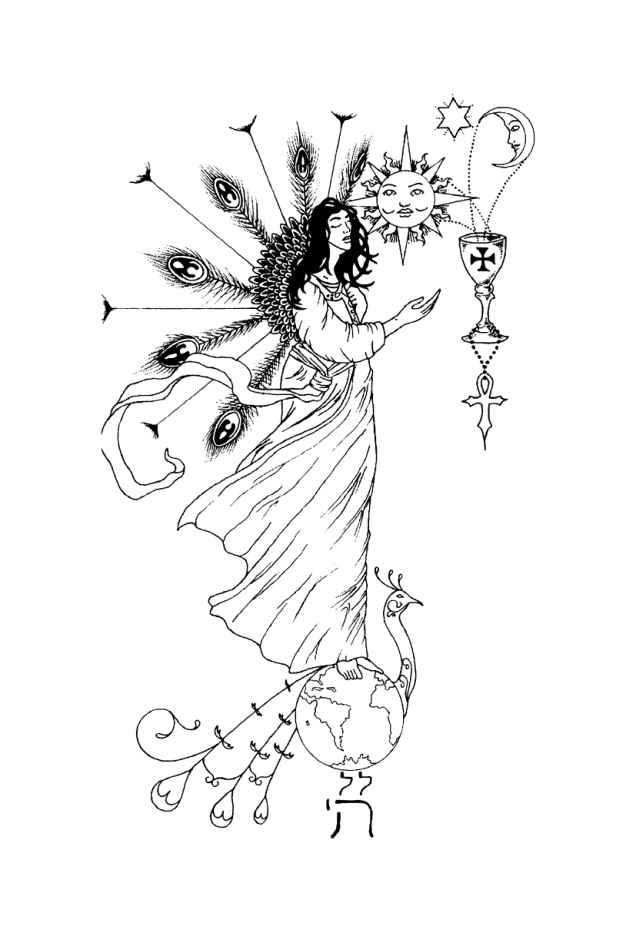 The Craft of the Untamed - Image cover