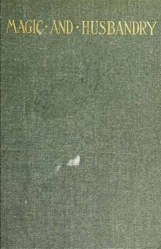 Magic & Husbandry - L Dayton Burdick (1905) cover