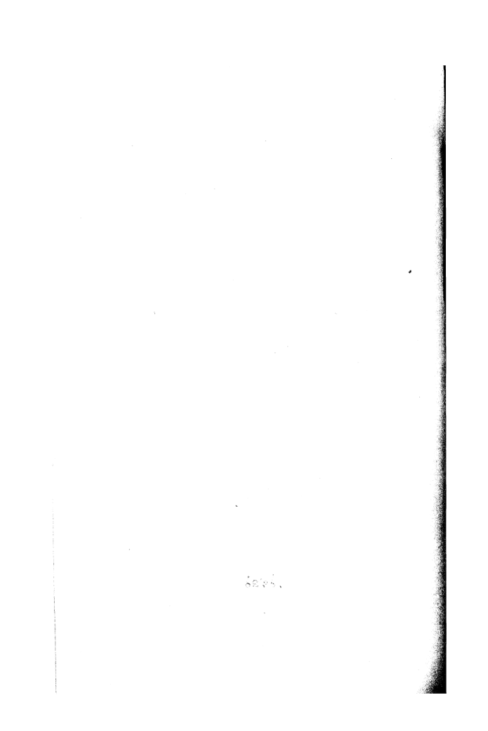 Alfræði íslenzk II Rímtöl cover