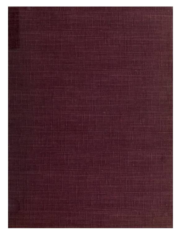 The Astral Plane; its Scenery, Inhabitants & Phenomena - C W Leadbeater (1595) cover