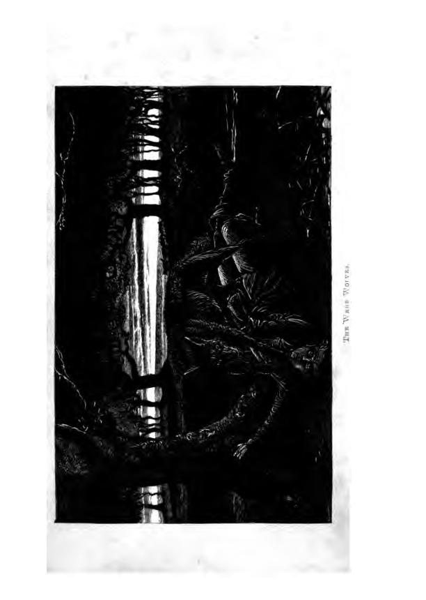 The Book of Were-Wolves cover