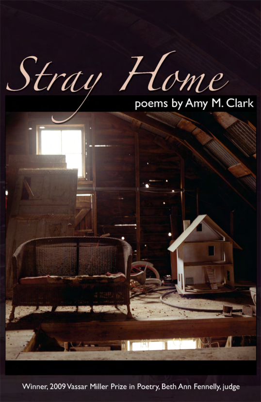 Amy M. Clark - Stray Home cover