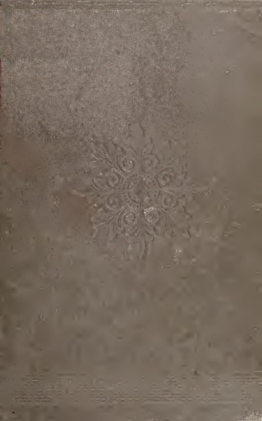 From the Caves & Jungles of Hindostan - H P Blavatsky (1892) cover
