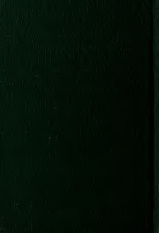 Magic & Fetishism - A C Haddon (1906) cover