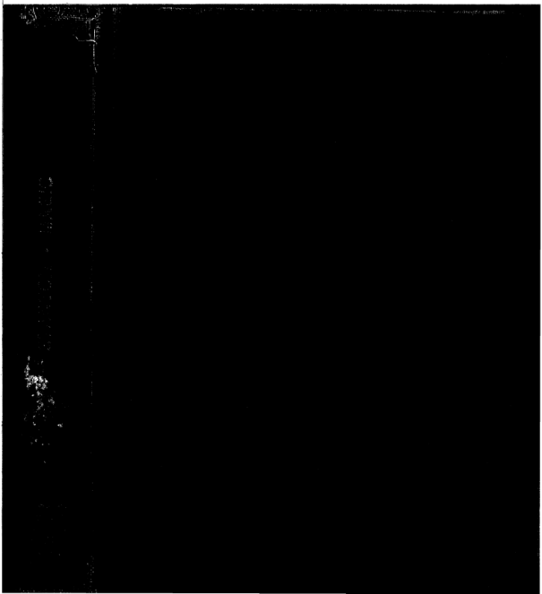 Magic, in Which Are Given Clear and Concise Explanations cover
