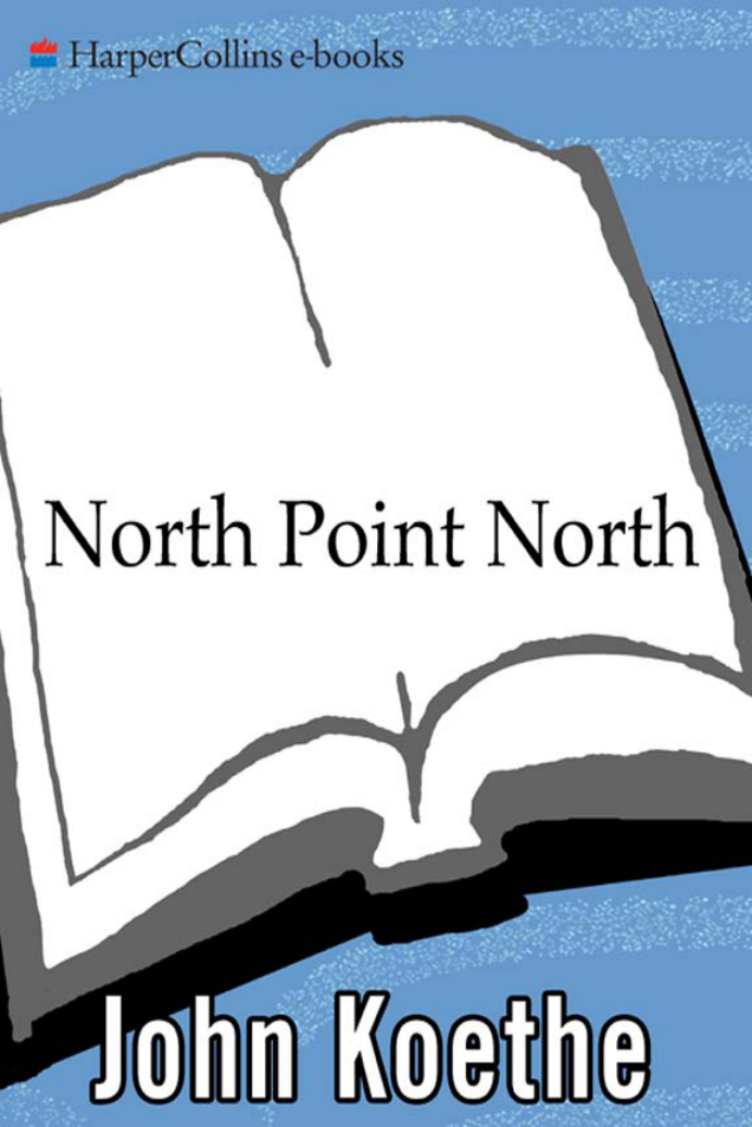 John Koethe - North Point North New and Selected Poems cover