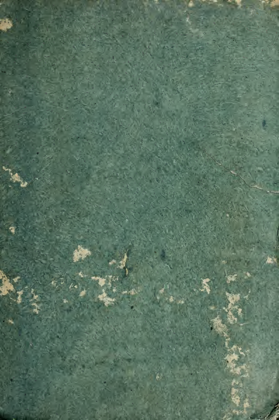 Angelorvm et daemonvm nomina et attribvta passim in divinis scriptvris contenta ad patrvm sententiam explicata - V. Cicog~1 cover