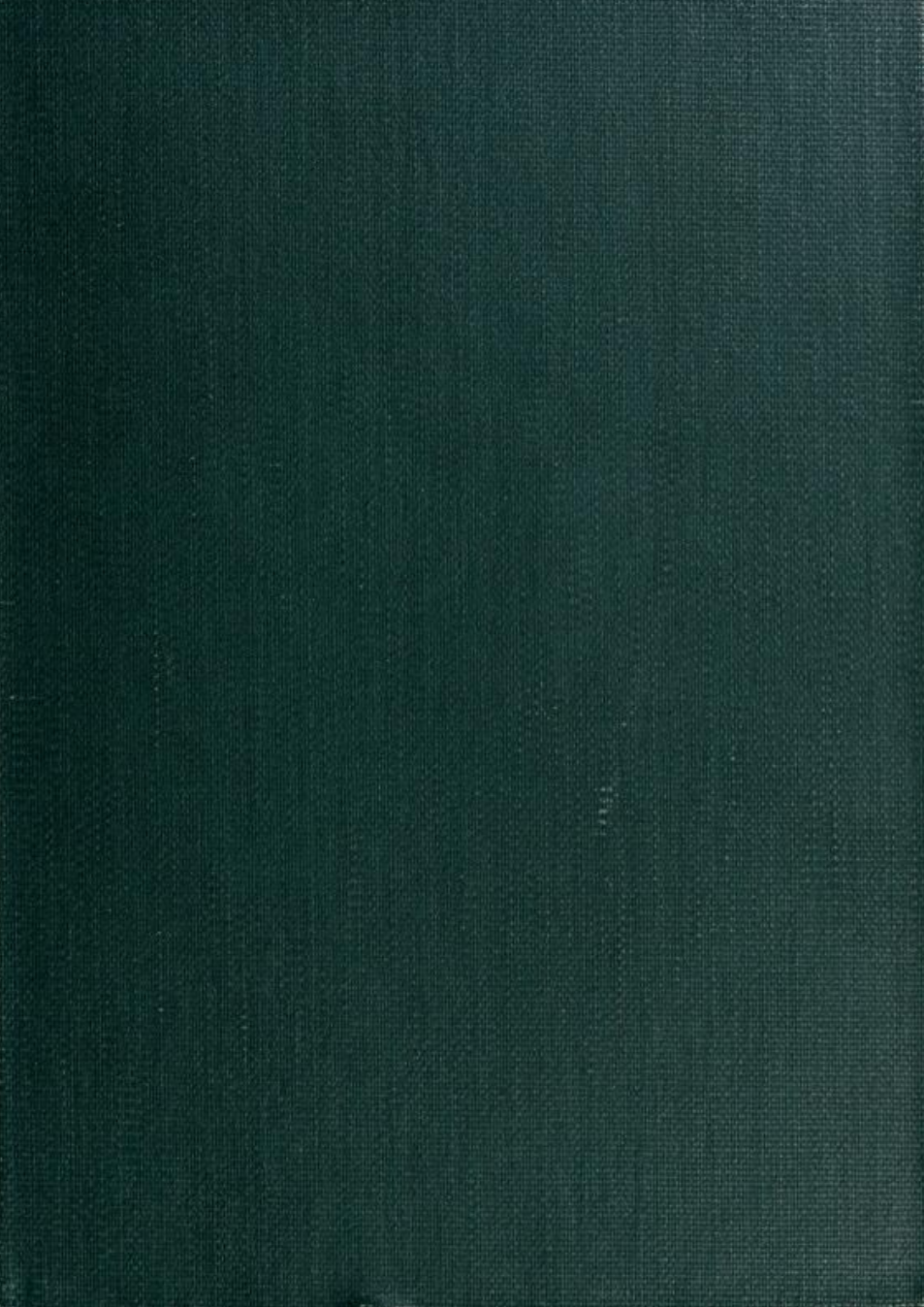 Brood of the Witch Queen - S Rohmer (1918) cover