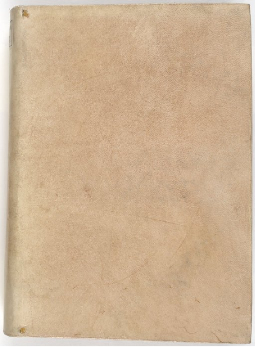 Demonomanie cover