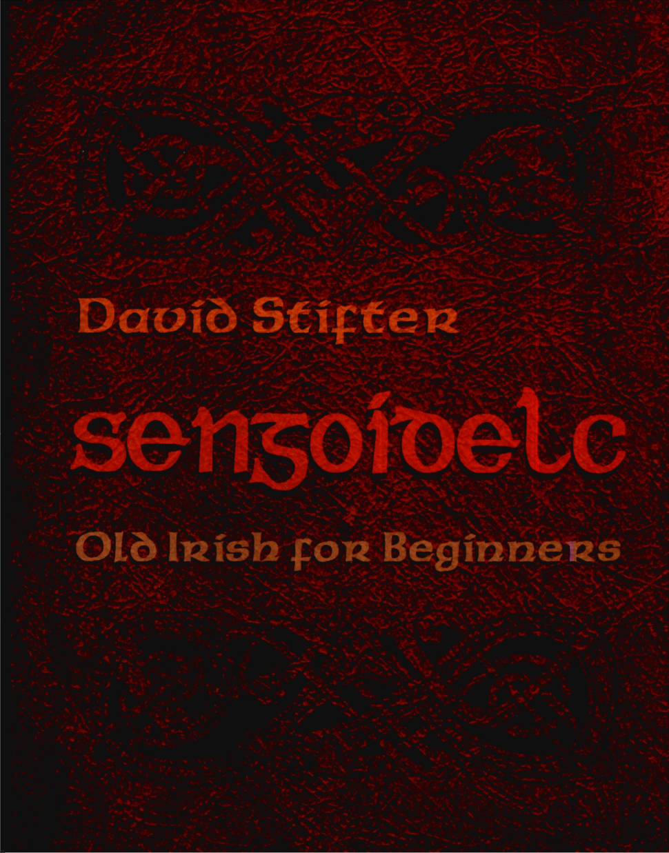 David Stifter - Sengoidelc Old Irish For Beginners (Irish Studies) cover