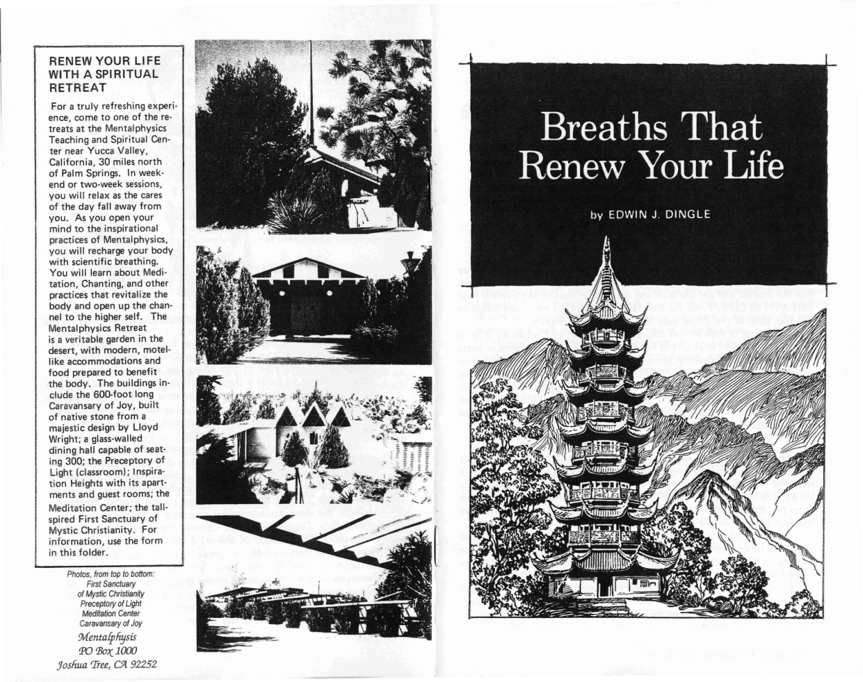 Breaths That Renew Your Life cover