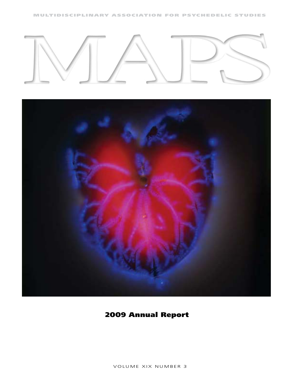v19n3 MAPS Financial Report - Fiscal Year 2008-09 cover