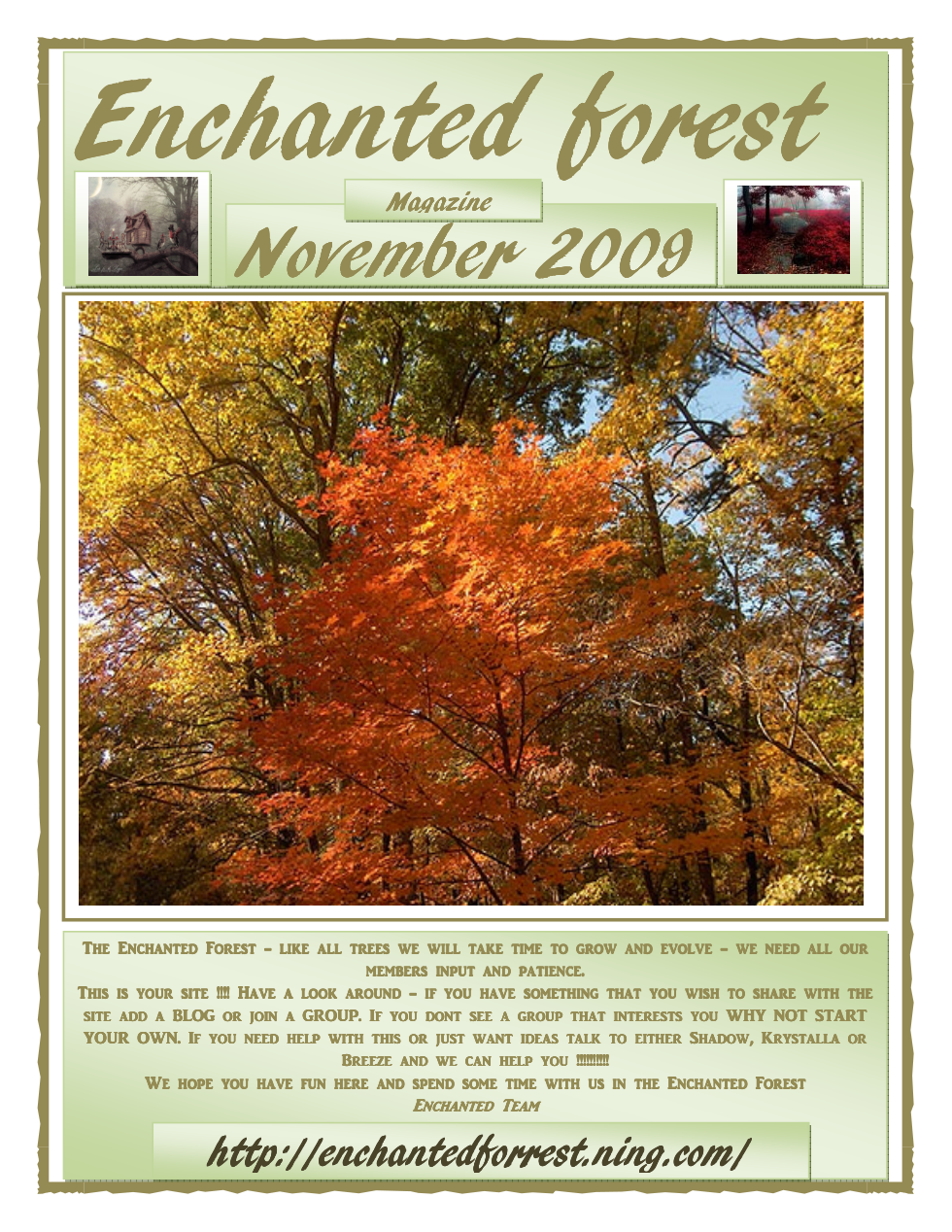November-2009-Enchanted-Forest-Magazine cover