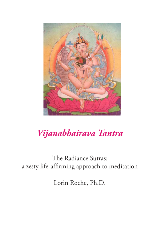 Vijanabhairava Tantra2 cover