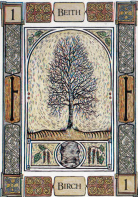 Celtic Tree Oracle Tarot cover