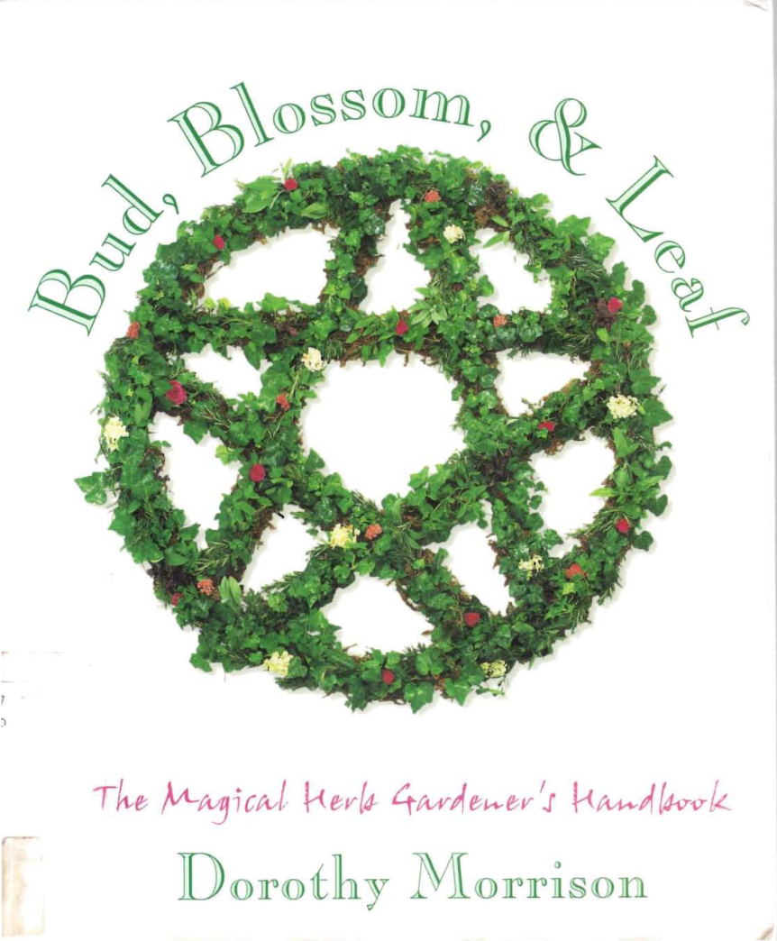 budblossomleaf cover