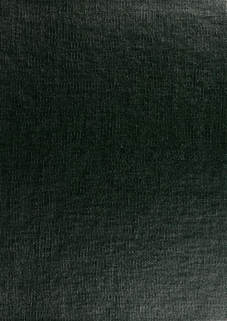 The Lost Continent - C Cutliffe Hyne (1900) cover