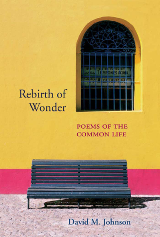 David M. Johnson - Rebirth of Wonder, Poems of the Common Life cover