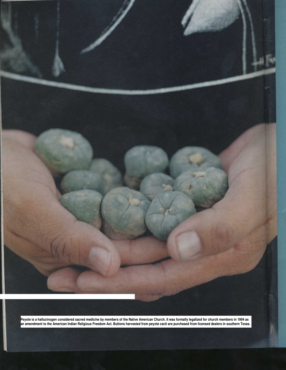 Peyote On The Brain - The Ceremonial Science cover