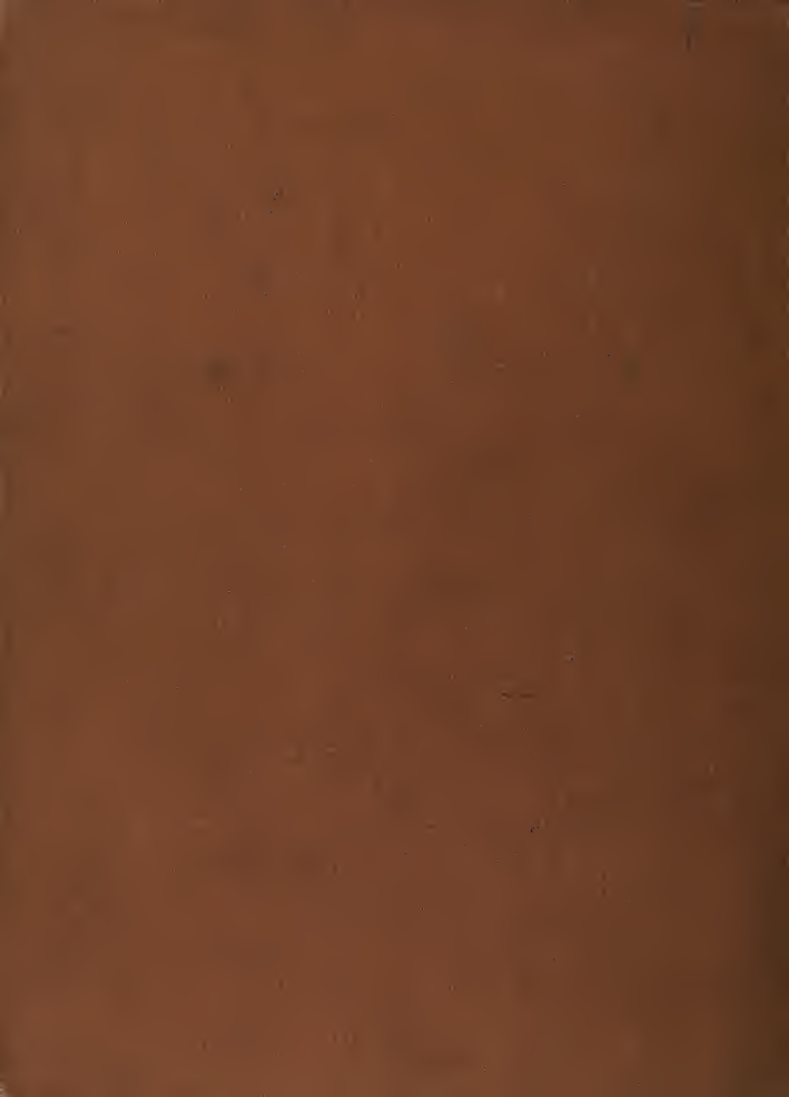 The Memory of Past Births - C Johnston (1899) cover