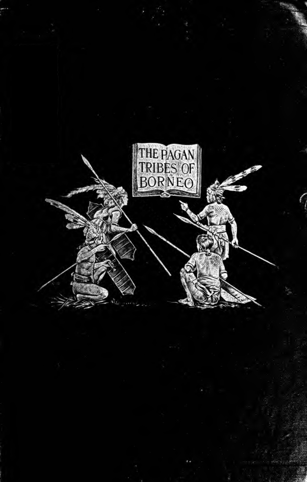 The Pagan Tribes of Borneo Vol II - C Hose & W McDougall cover