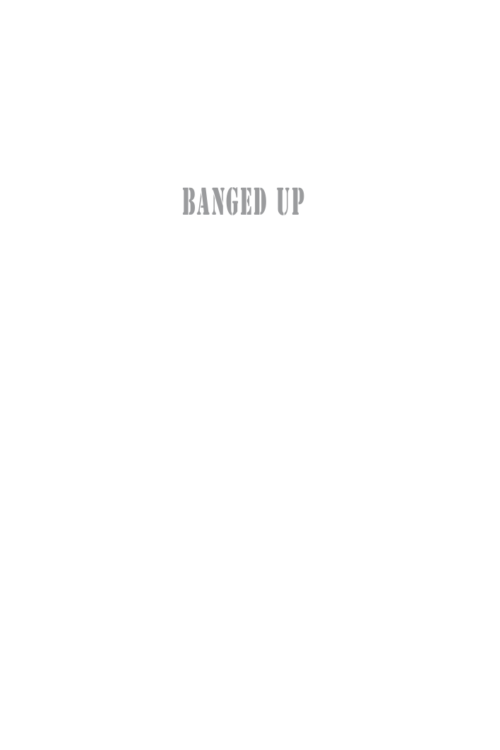 David Irving - Banged Up [2008] Survival as a Political Prisoner in 21st Century Europe cover