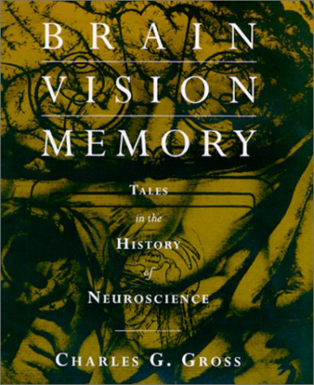 Brain, Vision, Memory cover