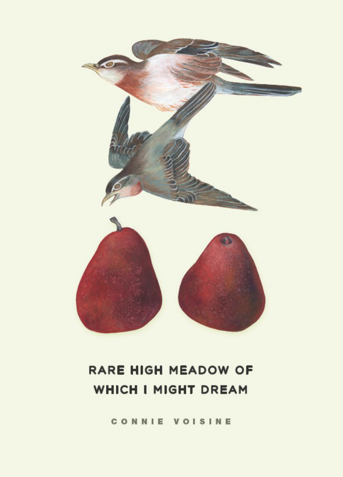 Connie Voisine - Rare High Meadow of Which I Might Dream cover
