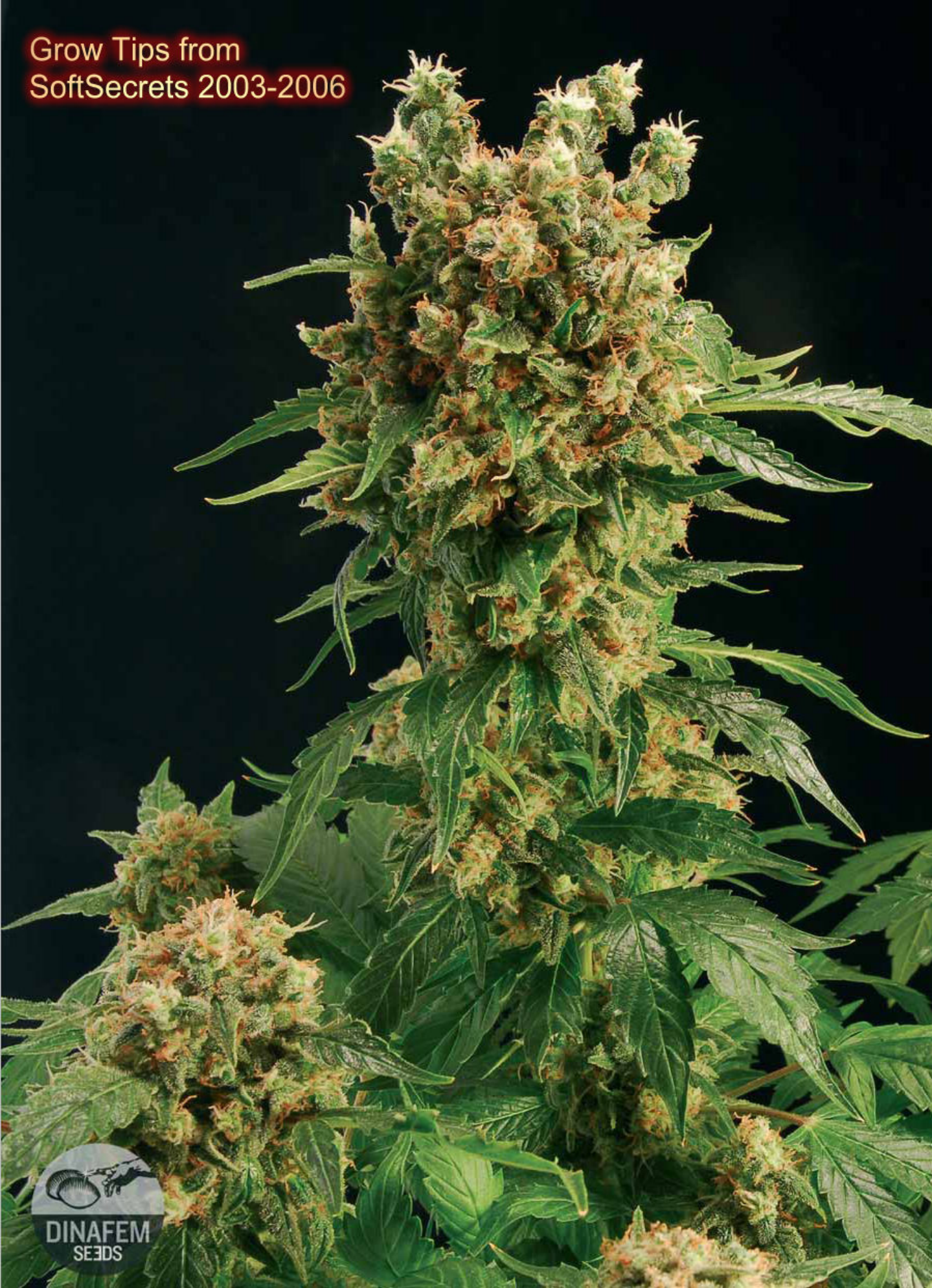 Cannabis Grow Tips From Soft Secrets cover