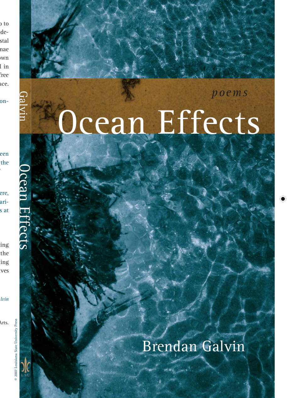 Brendan Galvin - Ocean Effects, Poems cover