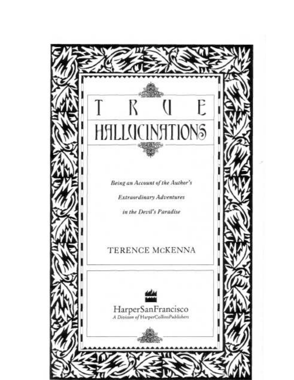 Terence Mckenna - True Hallucinations cover