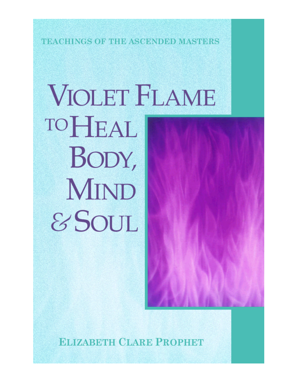 VFBook cover