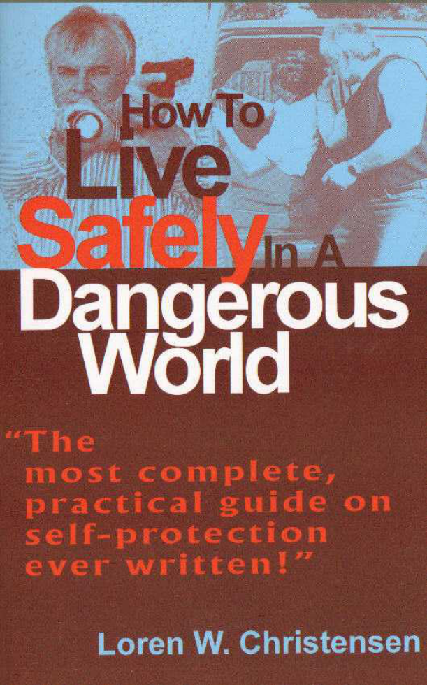 How To Live Safely In A Dangerous World cover