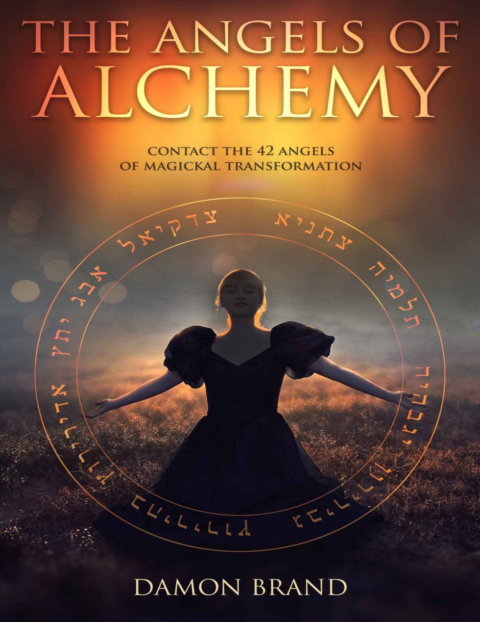 Damon Brand - The Angels of Alchemy Contact cover