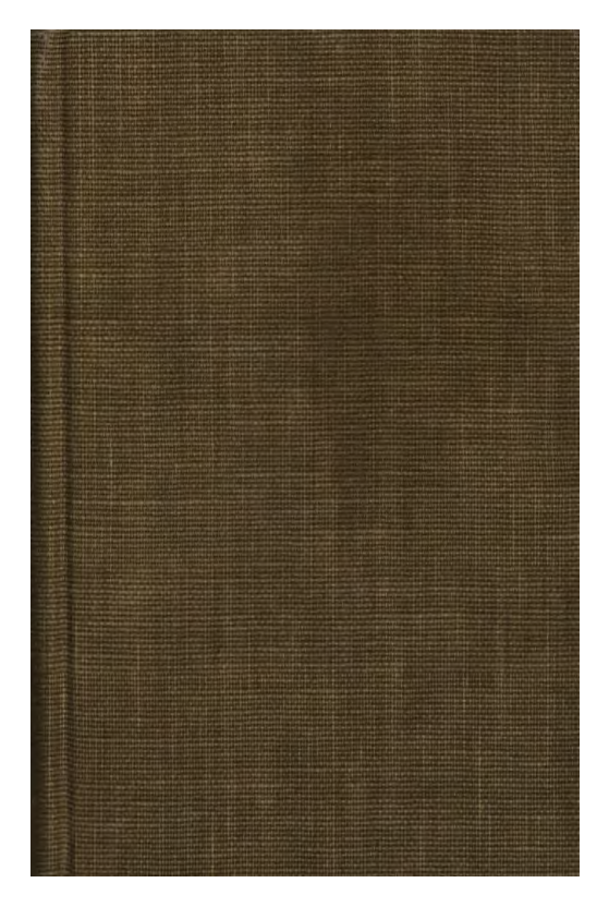 Demoniality or Incubi & Succubi - Rev Sinistari cover