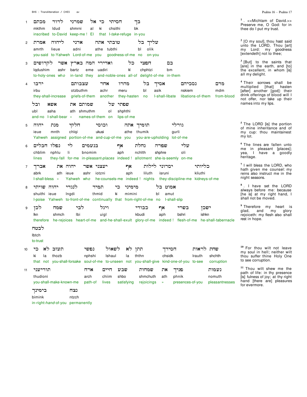 19016-The Book Of Psalms Chapter-016 cover