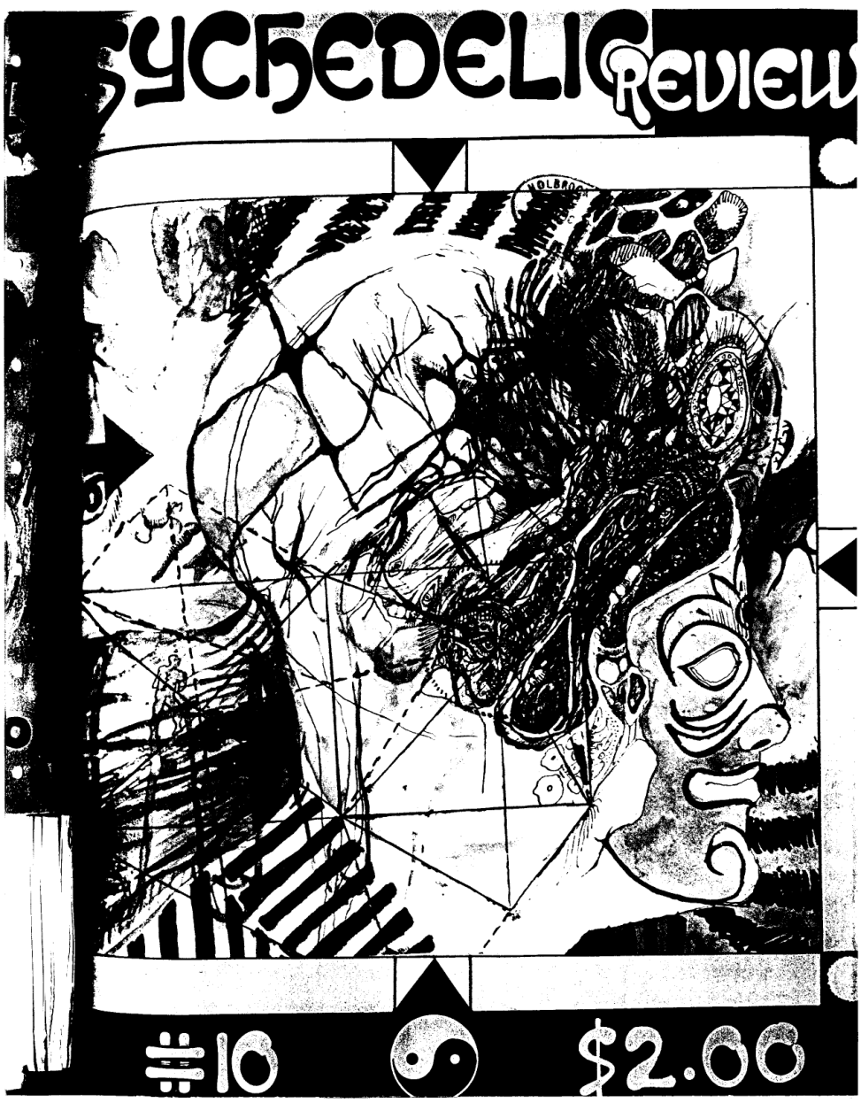 Psychedelic Review 10 cover