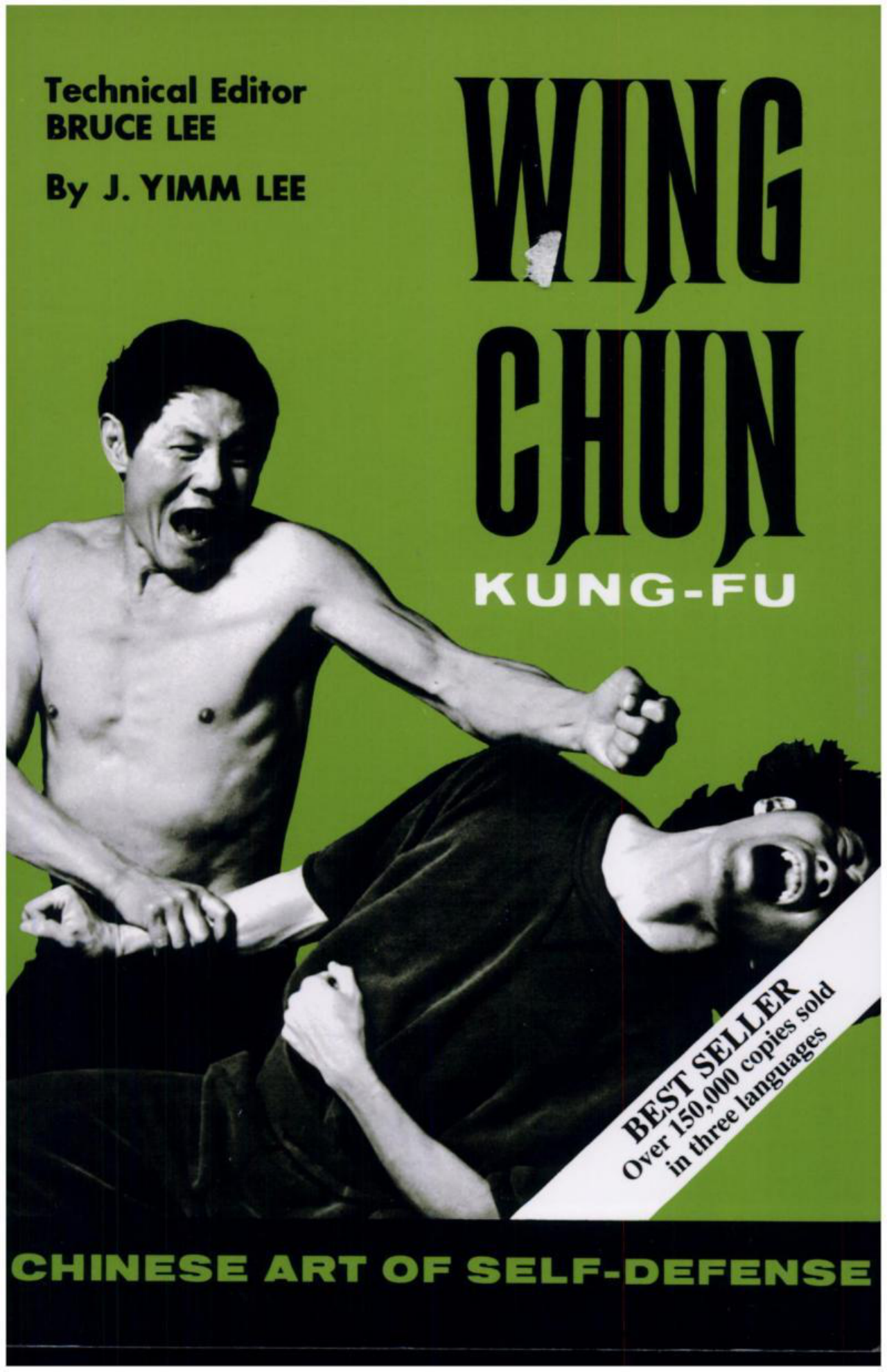 Wing Chun Kung-Fu cover