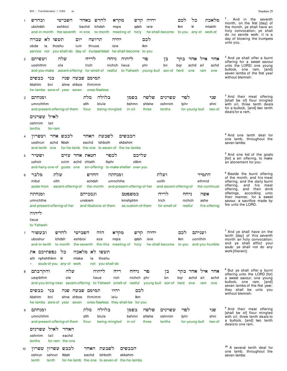 04029-The Book Of Numbers Chapter-029 cover
