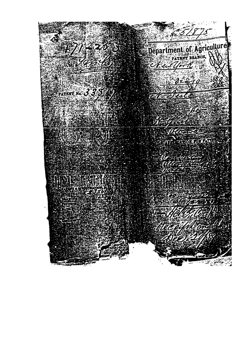 Tesla Patents - C33317 cover