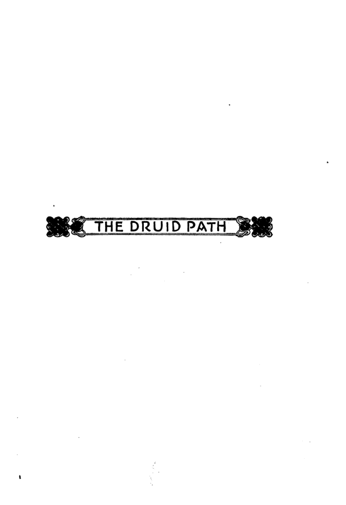 The Druid Path - M Ellis Ryan cover