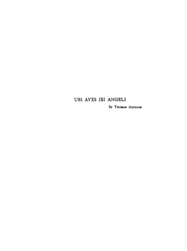 The Nature Of Angels - A. Whyte (1930) cover