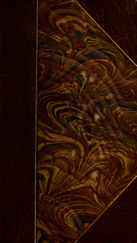 Mother Bunch’s Golden Fortune-teller cover
