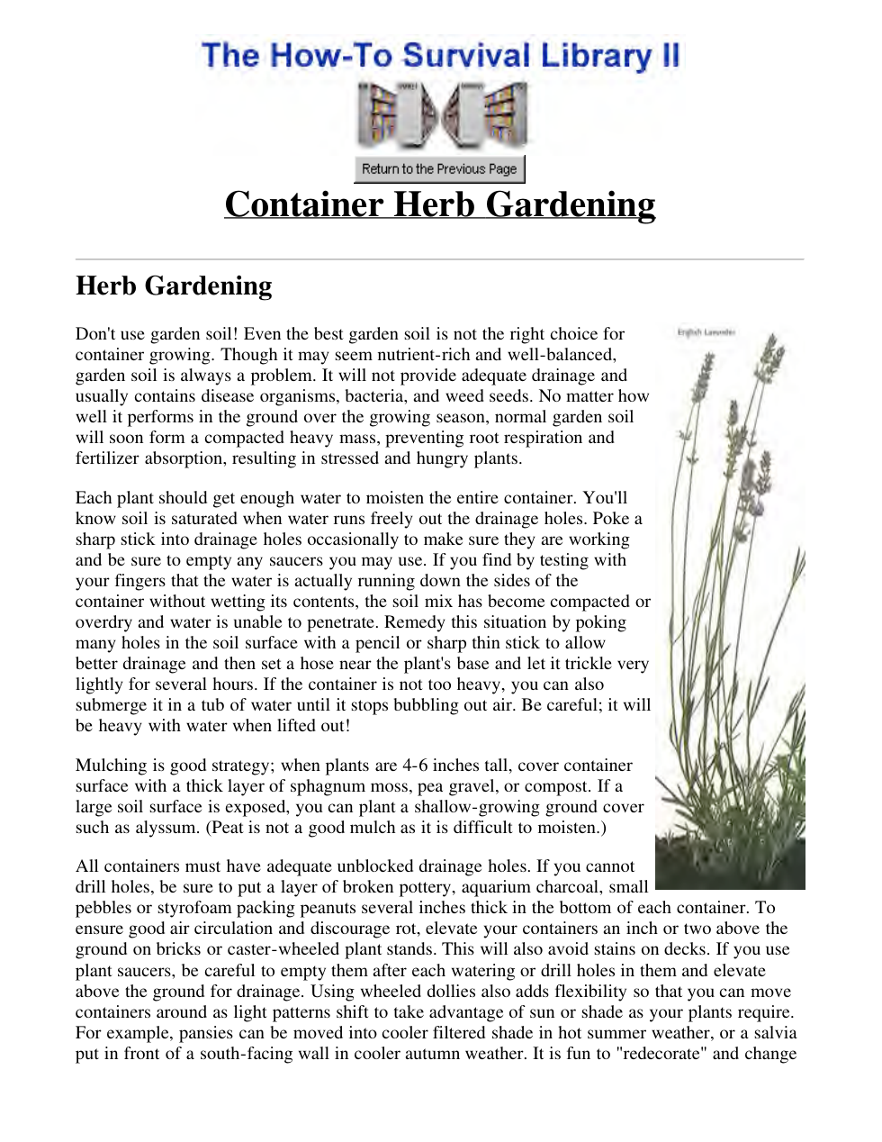 Container Herb Gardening cover