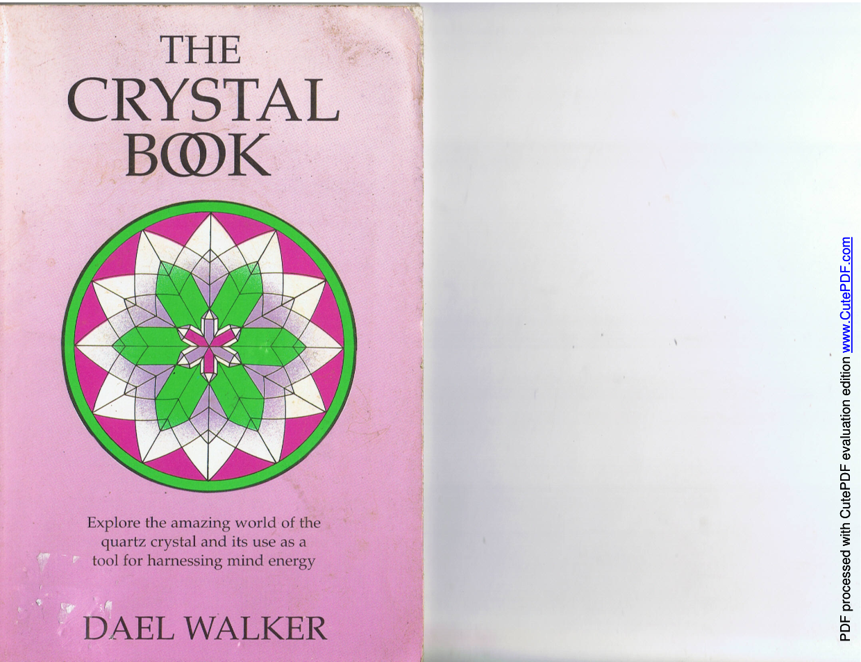 The Crystal Bool - Dael Walker cover