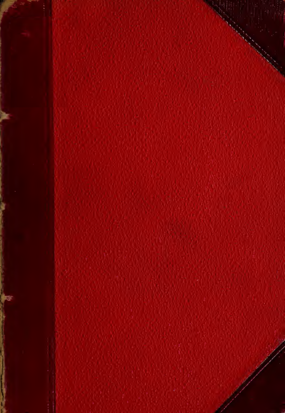 The Great Amherst Mystery - W Hubbell (1888) cover