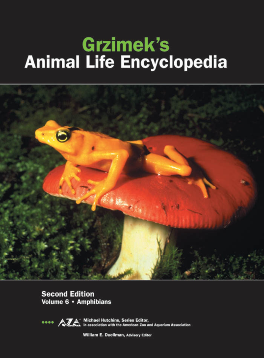 09 Vol. 6 - Amphibians cover