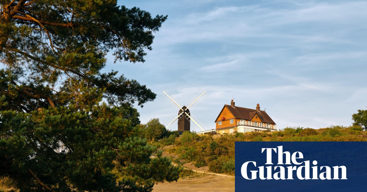 Country diary: From the beech trees of home to the hot Surrey Hills | Virginia Spiers